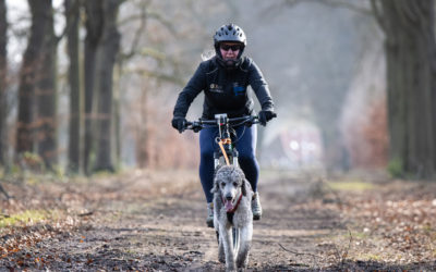 Wat is de hobby van jouw hond?